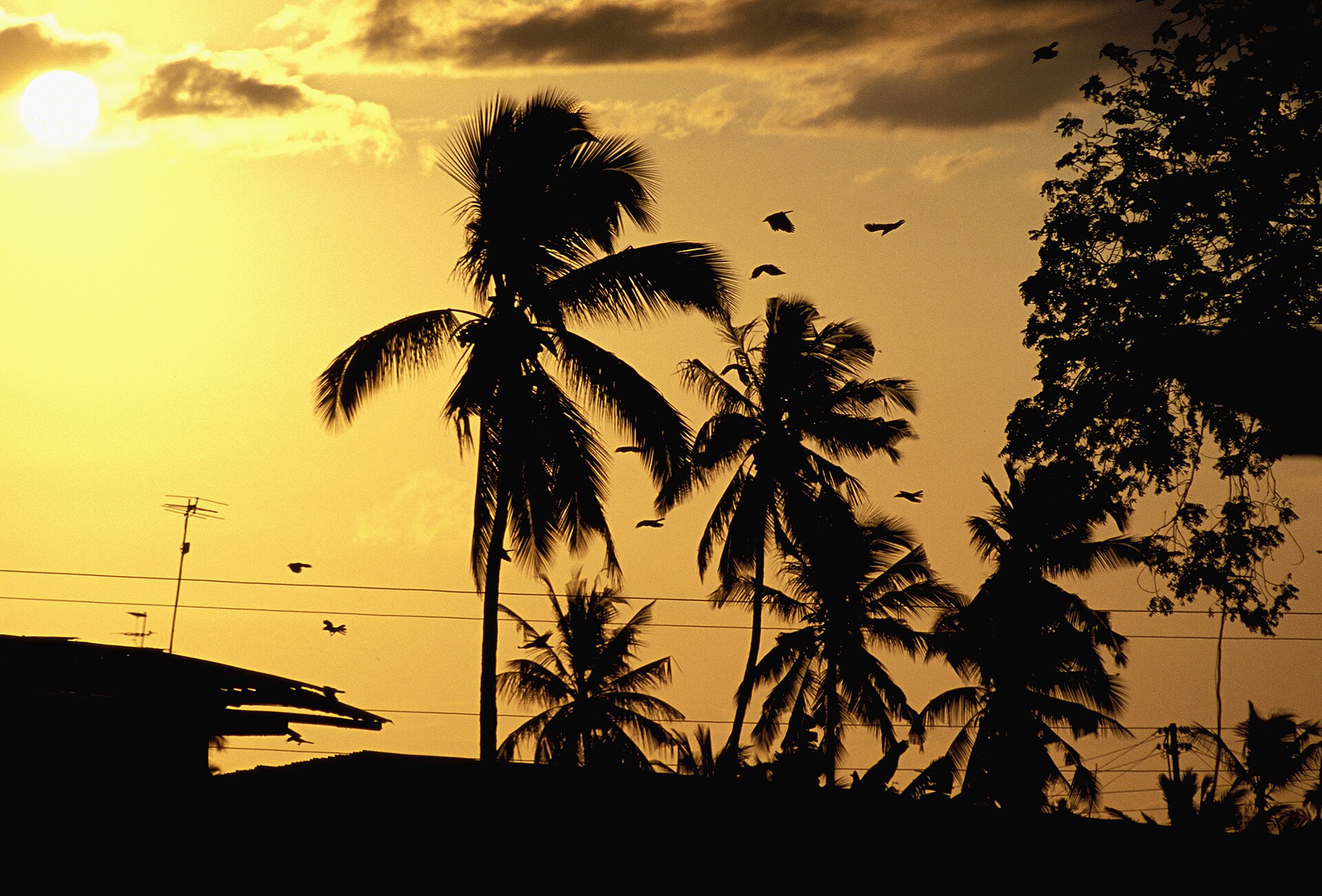 2 Nights — Malindi Weekend Escape