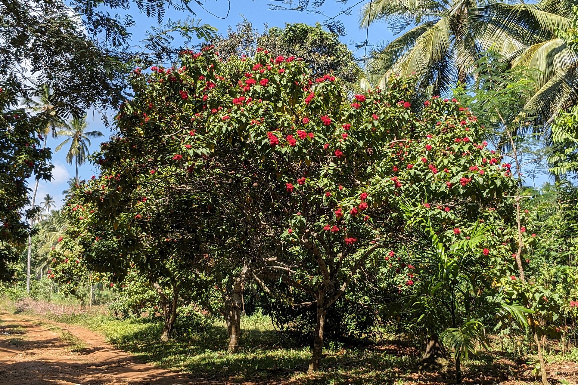 2 Nights — Zanzibar Quick Escape
