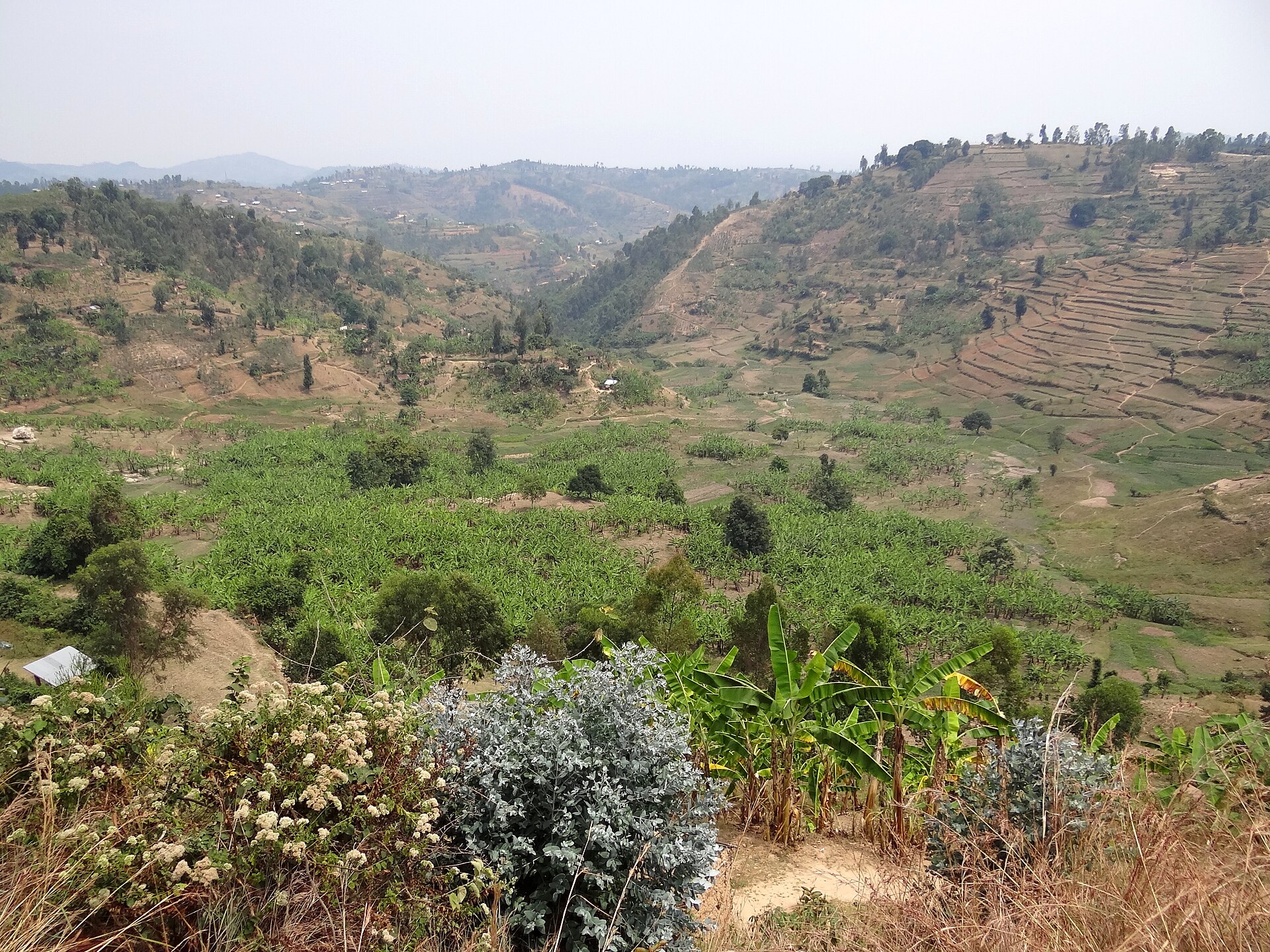 4 Nights — Lake Kivu Slow-Life Experience